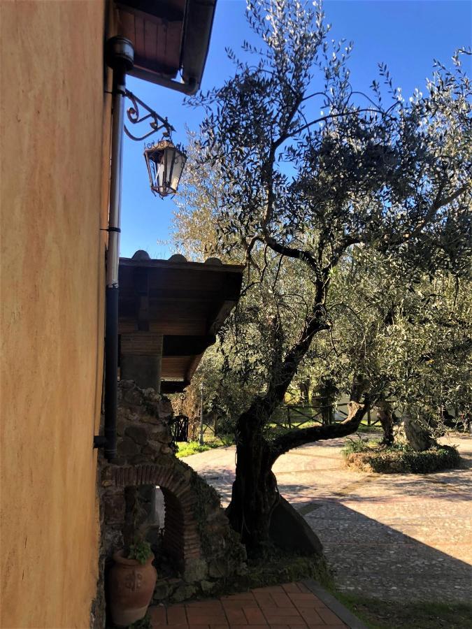 Casale L'Antica Mola Villa Castel Madama Kültér fotó