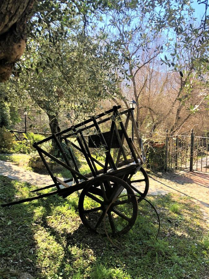 Casale L'Antica Mola Villa Castel Madama Kültér fotó